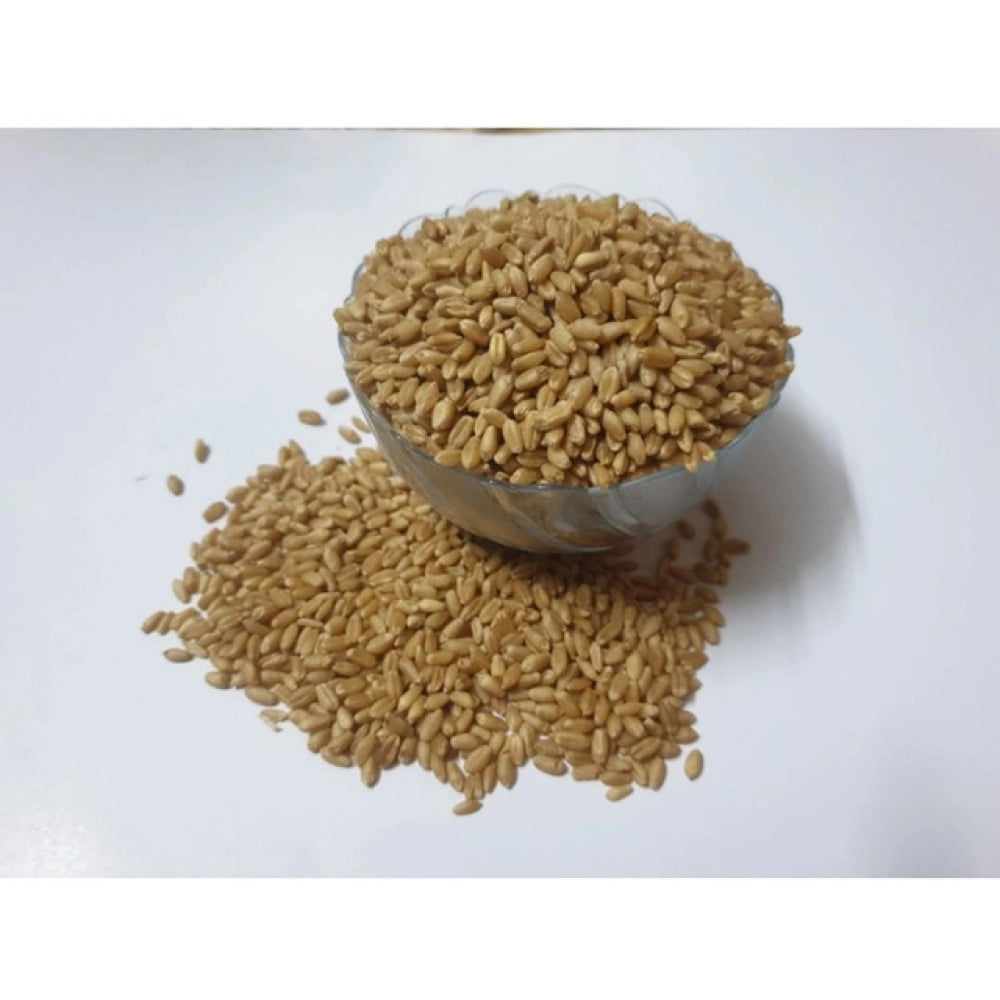 Wheatgrass Microgreen Seeds – Premium Quality, Easy to Grow, Quick Harvest for Indoor & Outdoor Gardening