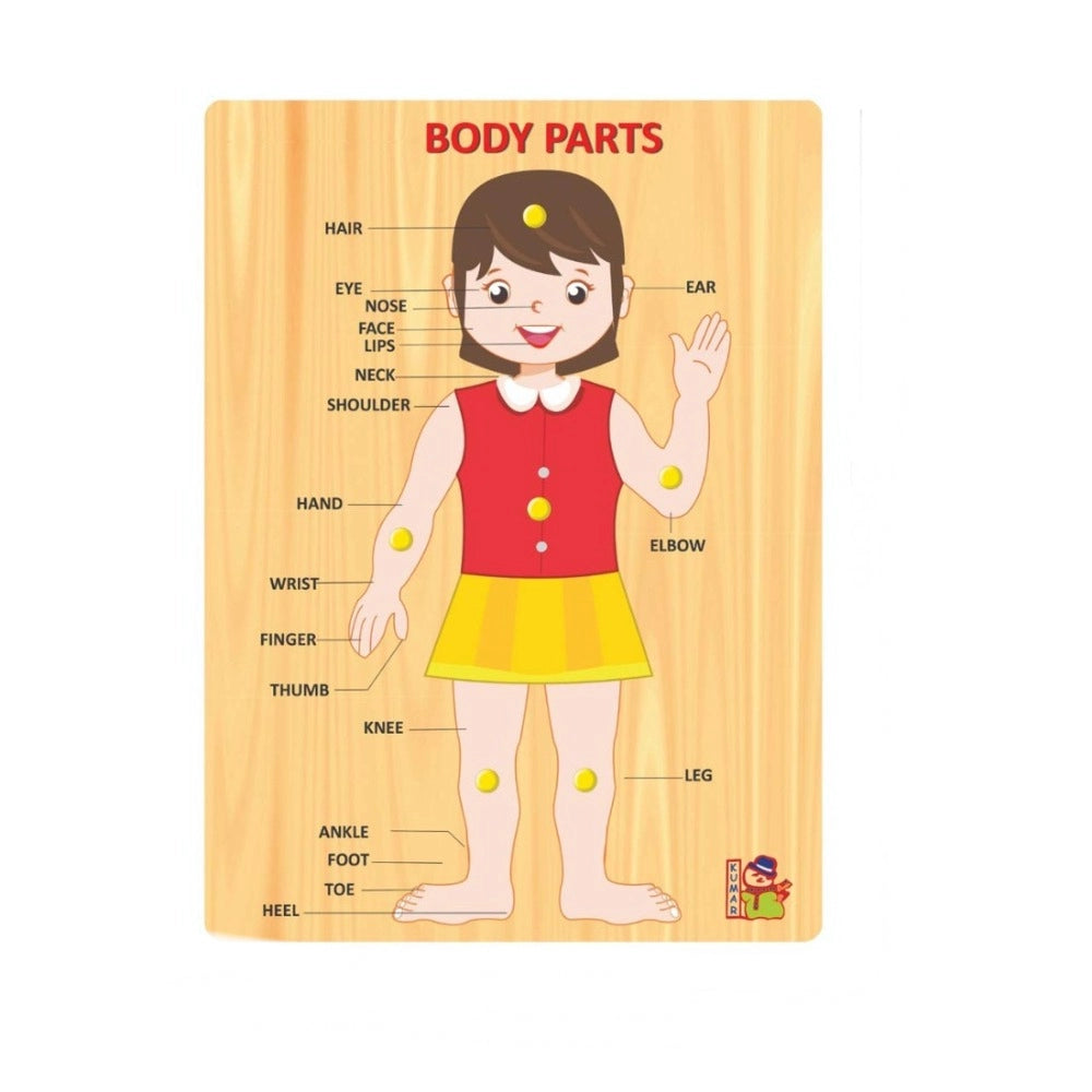 Wooden Body Parts Learning Puzzle Board for Kids – Educational Toy | 3+ Years