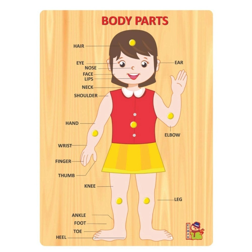 Wooden Body Parts Learning Puzzle Board for Kids – Educational Toy | 3+ Years